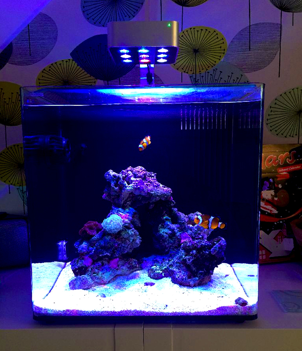 aqua mini - led aquarium light