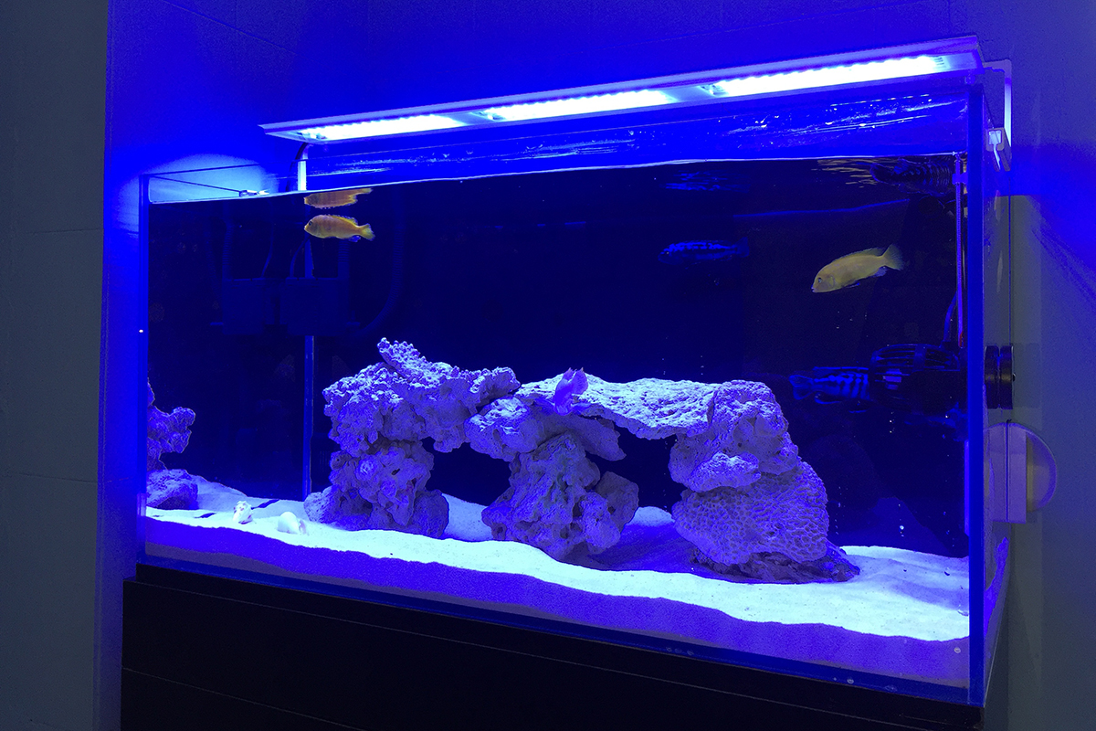 aqua air - led aquarium light